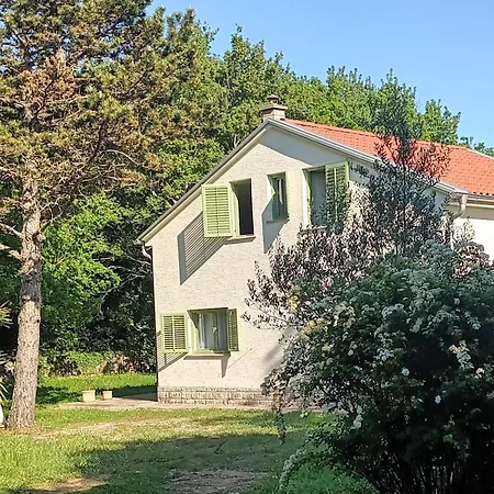 Barci